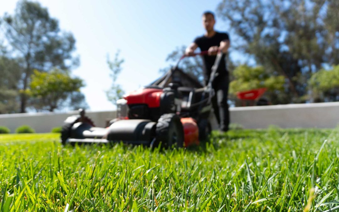 How Texas Weather Affects Your Landscape Throughout the Year