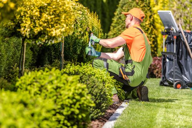 Landscaping Maintenance Williamson County