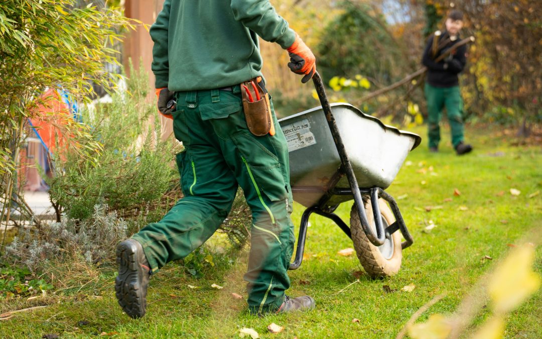 Yard Services in Liberty Hill, TX: What Every Homeowner Should Know Before Hiring
